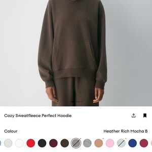 Aritzia Heather Rich Mocha Hoodie